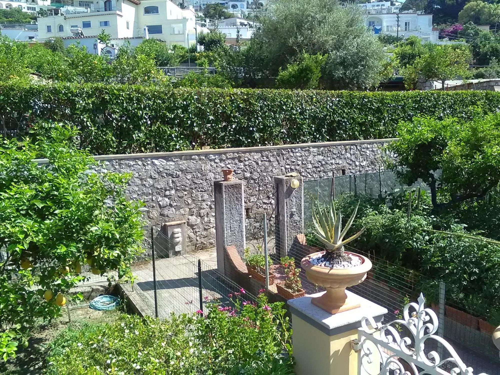 U' Pizzico Bed and Breakfast Capri Exteriör bild